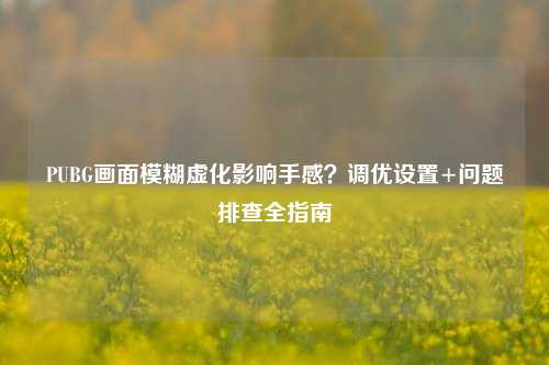 PUBG画面模糊虚化影响手感？调优设置+问题排查全指南