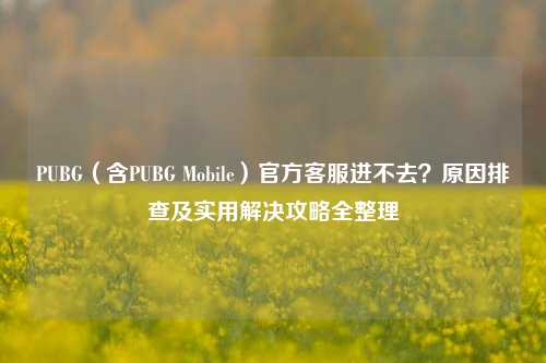 PUBG（含PUBG Mobile）官方客服进不去？原因排查及实用解决攻略全整理
