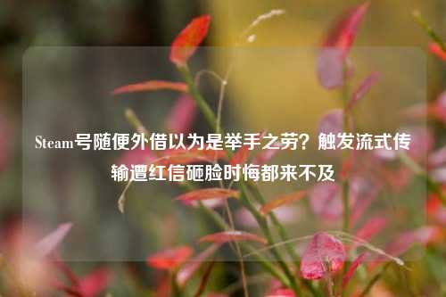 Steam号随便外借以为是举手之劳?触发流式传输遭红信砸脸时悔都来不及