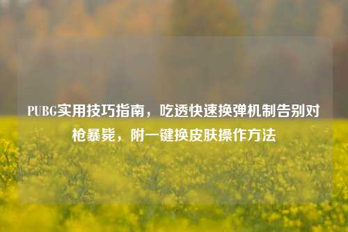 PUBG实用技巧指南，吃透快速换弹机制告别对枪暴毙，附一键换皮肤操作方法