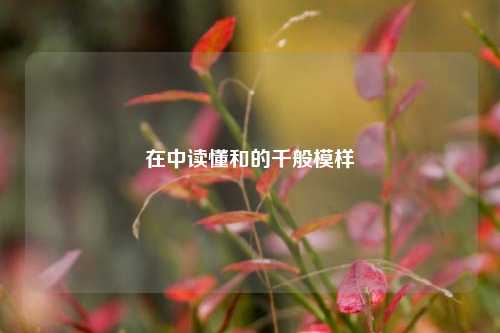 在中读懂和的千般模样