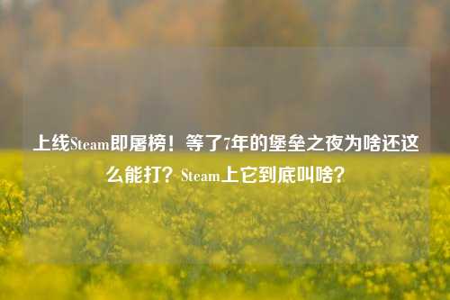 上线Steam即屠榜！等了7年的堡垒之夜为啥还这么能打？Steam上它到底叫啥？