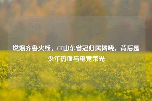 燃爆齐鲁火线,CF山东省冠归属揭晓,背后是少年热血与电竞荣光