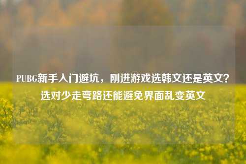 PUBG新手入门避坑，刚进游戏选韩文还是英文？选对少走弯路还能避免界面乱变英文