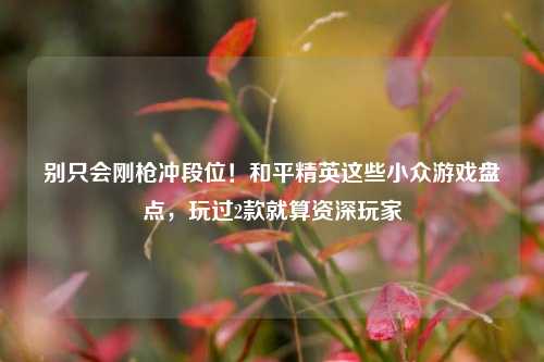 别只会刚枪冲段位！和平精英这些小众游戏盘点，玩过2款就算资深玩家
