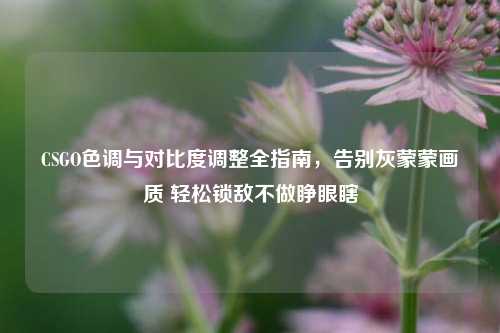 CSGO色调与对比度调整全指南，告别灰蒙蒙画质 轻松锁敌不做睁眼瞎