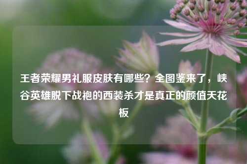 王者荣耀男礼服皮肤有哪些？全图鉴来了，峡谷英雄脱下战袍的西装杀才是真正的颜值天花板