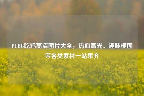 PUBG吃鸡高清图片大全,热血高光、趣味梗图等各类素材一站集齐
