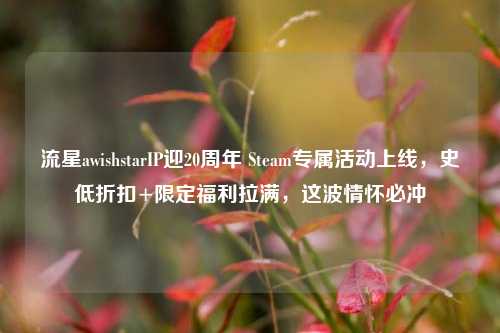 流星awishstarIP迎20周年 Steam专属活动上线，史低折扣+限定福利拉满，这波情怀必冲