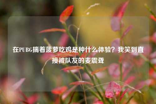 在PUBG揣着菠萝吃鸡是种什么体验？我笑到直接被队友的麦震聋