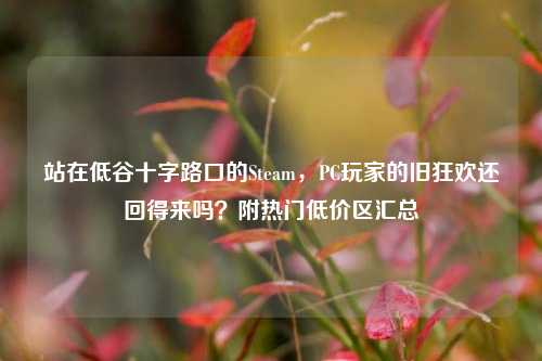 站在低谷十字路口的Steam，PC玩家的旧狂欢还回得来吗？附热门低价区汇总