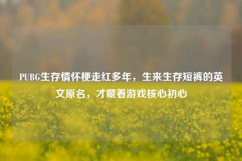 PUBG生存情怀梗走红多年，生来生存短裤的英文原名，才藏着游戏核心初心