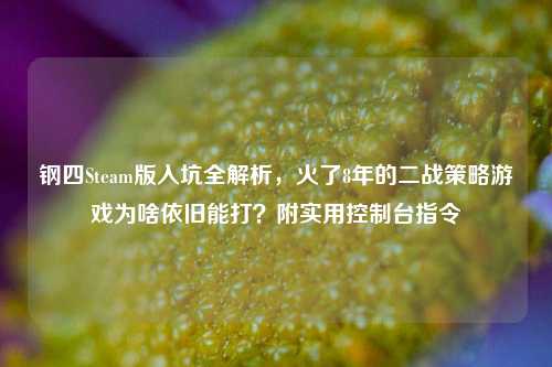 钢四Steam版入坑全解析，火了8年的二战策略游戏为啥依旧能打？附实用控制台指令