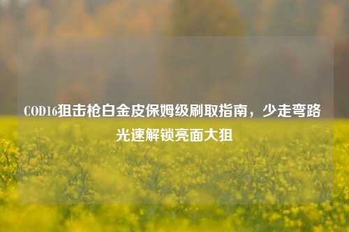 COD16狙击枪白金皮保姆级刷取指南,少走弯路 光速解锁亮面大狙