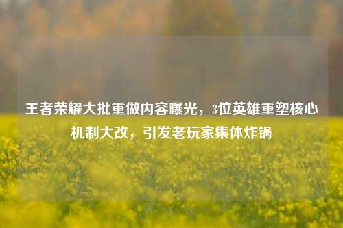 王者荣耀大批重做内容曝光，3位英雄重塑核心机制大改，引发老玩家集体炸锅