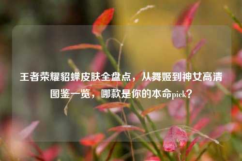 王者荣耀貂蝉皮肤全盘点，从舞姬到神女高清图鉴一览，哪款是你的本命pick？
