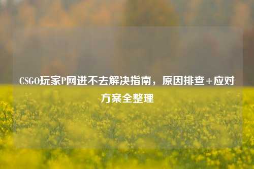CSGO玩家P网进不去解决指南，原因排查+应对方案全整理