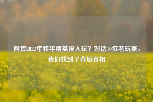 网传2022年和平精英没人玩？对话10位老玩家，我们找到了背后真相