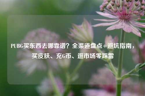 PUBG买东西去哪靠谱？全渠道盘点+避坑指南，买皮肤、充G币、逛市场零踩雷