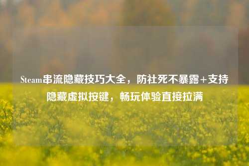 Steam串流隐藏技巧大全,防社死不暴露+支持隐藏虚拟按键,畅玩体验直接拉满