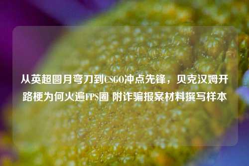 从英超圆月弯刀到CSGO冲点先锋，贝克汉姆开路梗为何火遍FPS圈 附诈骗报案材料撰写样本