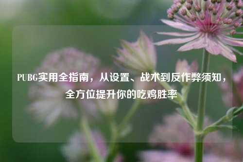 PUBG实用全指南，从设置、战术到反作弊须知，全方位提升你的吃鸡胜率