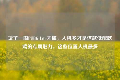 玩了一周PUBG Lite才懂，人机多才是这款低配吃鸡的专属魅力，这些位置人机最多