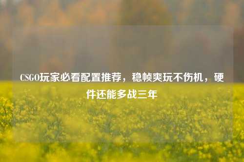 CSGO玩家必看配置推荐，稳帧爽玩不伤机，硬件还能多战三年