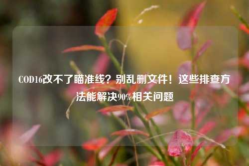 COD16改不了瞄准线？别乱删文件！这些排查方法能解决90%相关问题