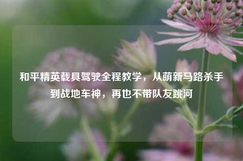 和平精英载具驾驶全程教学，从萌新马路杀手到战地车神，再也不带队友跳河