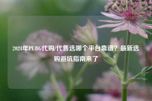 2024年PUBG代购/代售选哪个平台靠谱？最新选购避坑指南来了