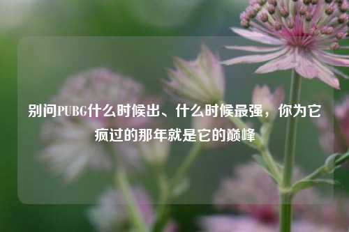别问PUBG什么时候出、什么时候最强，你为它疯过的那年就是它的巅峰