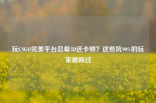 玩CSGO完美平台总晕3D还卡顿？这些坑90%的玩家都踩过