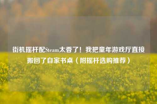 街机摇杆配Steam太香了！我把童年游戏厅直接搬回了自家书桌（附摇杆选购推荐）