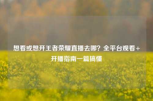 想看或想开王者荣耀直播去哪？全平台观看+开播指南一篇搞懂