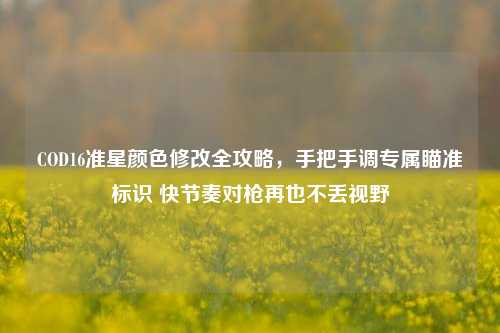 COD16准星颜色修改全攻略，手把手调专属瞄准标识 快节奏对枪再也不丢视野