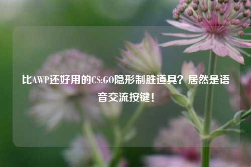 比AWP还好用的CS:GO隐形制胜道具？居然是语音交流按键！