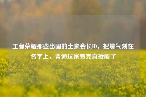 王者荣耀那些出圈的土豪会长ID，把壕气刻在名字上，普通玩家看完直接酸了