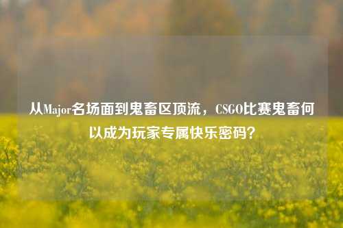 从Major名场面到鬼畜区顶流,CSGO比赛鬼畜何以成为玩家专属快乐密码?