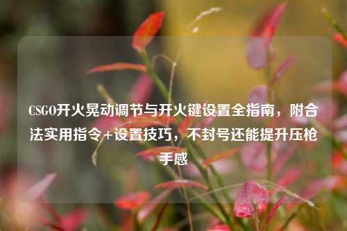 CSGO开火晃动调节与开火键设置全指南，附合法实用指令+设置技巧，不封号还能提升压枪手感