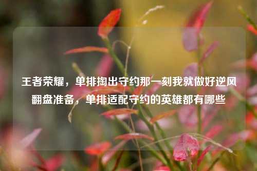 王者荣耀，单排掏出守约那一刻我就做好逆风翻盘准备，单排适配守约的英雄都有哪些