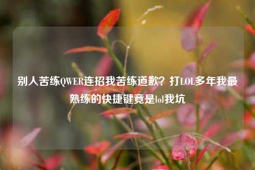 别人苦练QWER连招我苦练道歉？打LOL多年我最熟练的快捷键竟是lol我坑