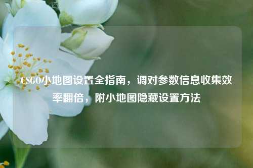 CSGO小地图设置全指南，调对参数信息收集效率翻倍，附小地图隐藏设置方法