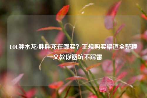 LOL胖水龙/胖胖龙在哪买？正规购买渠道全整理 一文教你避坑不踩雷