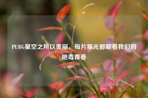 PUBG星空之所以美丽，每片星光都藏着我们的跑毒青春