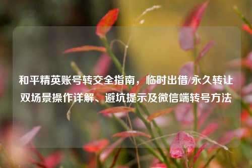 和平精英账号转交全指南，临时出借/永久转让双场景操作详解、避坑提示及微信端转号方法