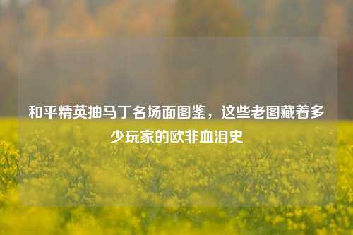 和平精英抽马丁名场面图鉴，这些老图藏着多少玩家的欧非血泪史