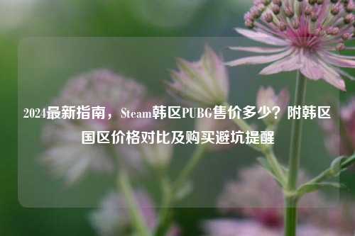 2024最新指南，Steam韩区PUBG售价多少？附韩区国区价格对比及购买避坑提醒