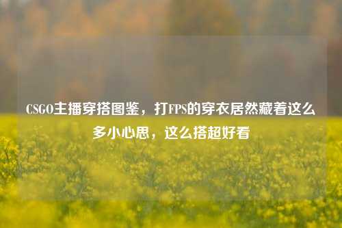 CSGO主播穿搭图鉴，打FPS的穿衣居然藏着这么多小心思，这么搭超好看