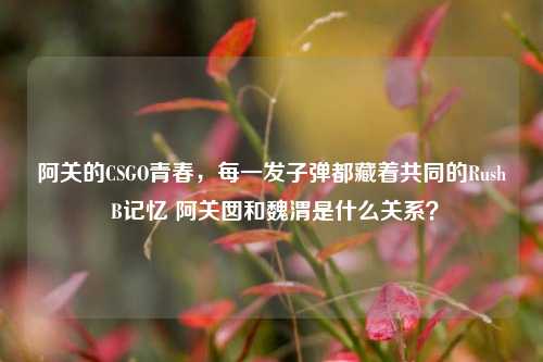 阿关的CSGO青春，每一发子弹都藏着共同的Rush B记忆 阿关囡和魏渭是什么关系？